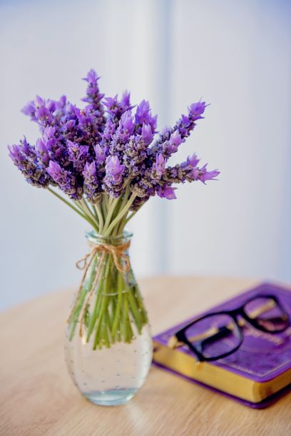 rooting lavender in water